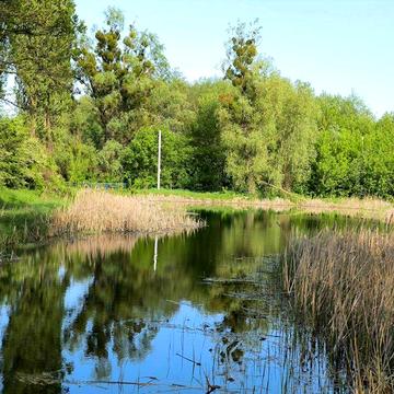 Мрієте про власний затишний куточок на природі біля Києва? Ваша ідеальна дача вже чекає на вас!