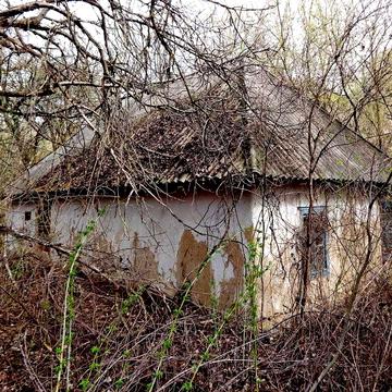 Ділянка 25 соток з електрифікованим будинком  в с. Горобіївка Обухівського р-ну
