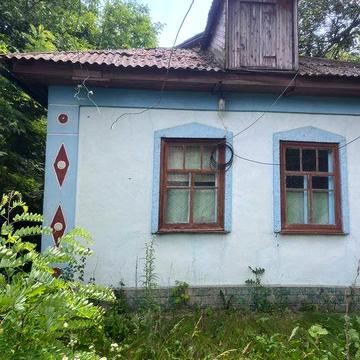 Будинок в селі Новоселиця