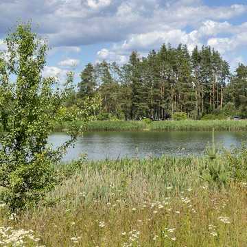 Будинок серед соснового  лісу біля озера. КМ Лісова гавань.