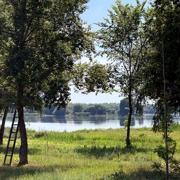 ПРОДАЖ дачі с.Кривуші Кооператив Чайка поряд з р.Дніпро