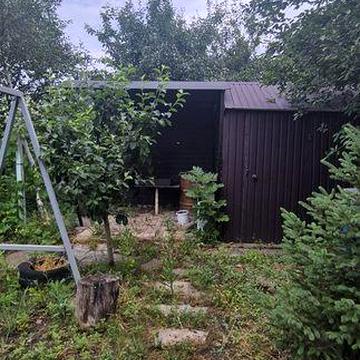 Продаж дачі з пасікою