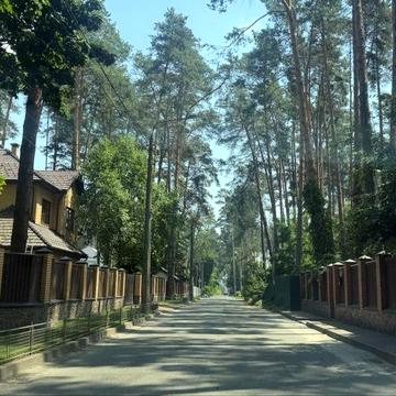 Будинок з терасою та власною земельною ділянкою в оточенні сосен
