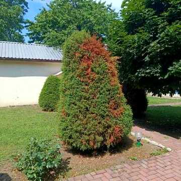 Продам  дом Львовская  /13 ст.Фонтана/