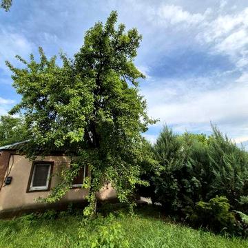 Продаж будинку Підгороднє/Слобожанське/Дніпро