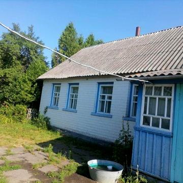 Село Дівочки Черняхівський район Житомирська область
