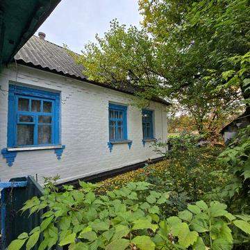 Фасадний Будинок с Троїцьке