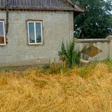 Продам дом в селе Белолесье