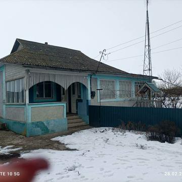Продам будинок в силі.