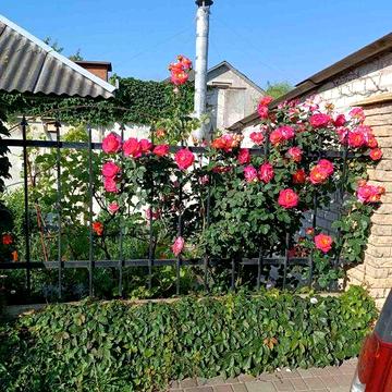 Продаж  будиночка в стилі Прованс.