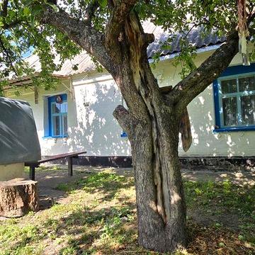 Продам затишний будинок в с. Сорокотяги