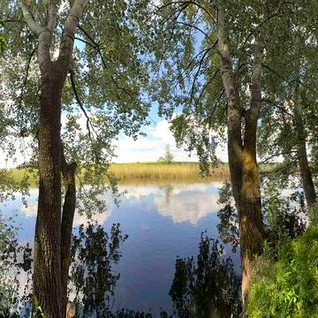 ПРОДАЄТЬСЯ БУДИНОК Криничанський район с,Болтишка