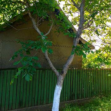 Продам затишний будинок