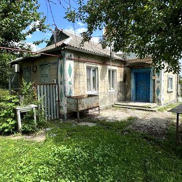 Дом в с. Маяк, центр,погреб, огород, летняя кухня, гараж