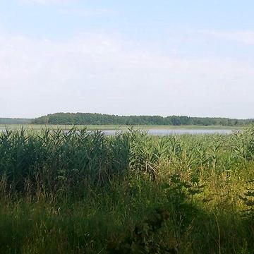 Будино біля озера, перша лінія