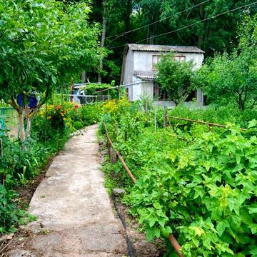 Продам дачу біля лісу, 13 км від Білої Церкви, Володарська траса