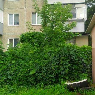 Продам  квартиру  підходить під бізнес   з окремим входом у центрі