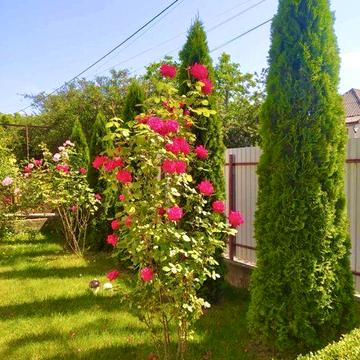 Продам приватну садибу біля термальних басейнів