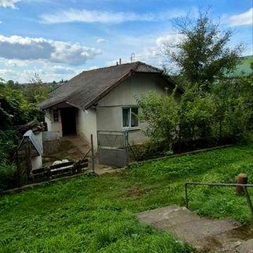 Будинок з городом