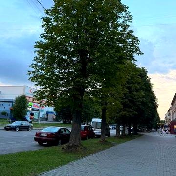 Продаж 2-х кімнатної квартири під бізнес в центрі м.Шептицький