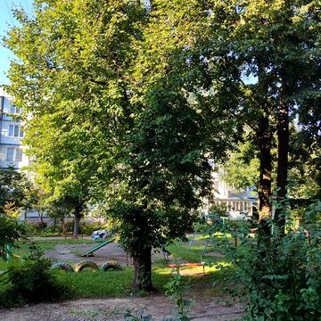 Оренда кімнати в гуртожитку Ракове