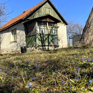 Дом для дачі Куряжанка