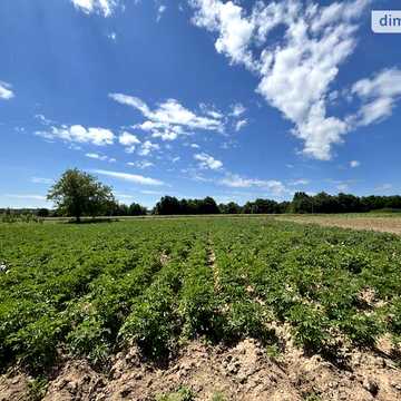 Продаж 4к Дім Соборна (Кірова) вулиця