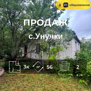Будинок біля річки, 25 соток землі, с. Унучки, ЄВідновлення RD