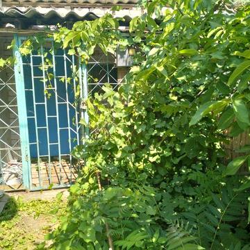 Причал,кооп."Коралл",Варваровка-5500$