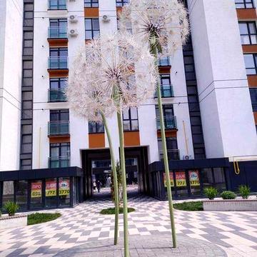 Оренда гарної квартири біля парку та озера вул. Мазепи ЖК Липки
