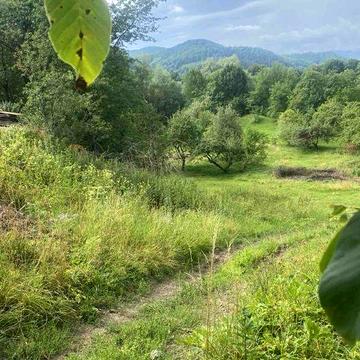 Стара гуцульська хата