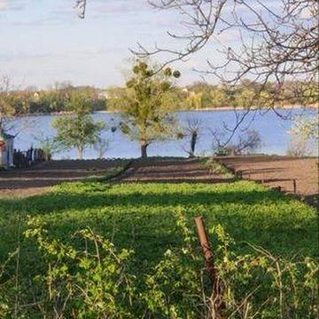 Будинок 69,6 м² + 21 сотка | смт Гребінки | 55 км від Києва | Біля річки