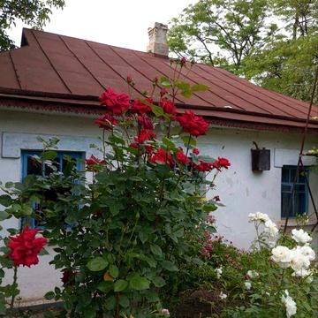 Будинок в Вінницькій області