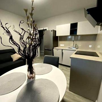 Аренда 1 ком кв 50 м2 ЖК Рогатинский, Центр, Клочковская, Каскад