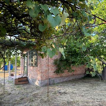 Терміново - продам дачу, кооператив «Надія», поряд з м. Олександрія
