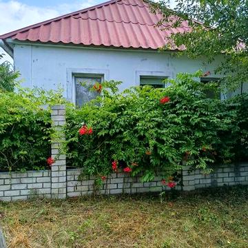 Домоволодіння з двома гаражами та господарськими приміщеннями