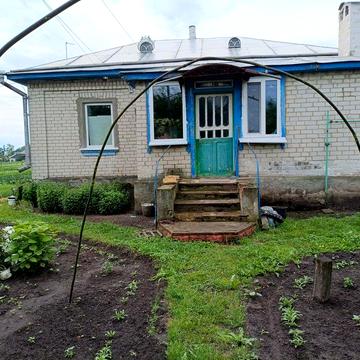 Здам будинок в с. Смолянка Чернігівської області