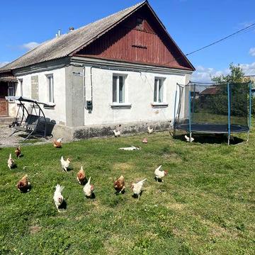Продам будинок в селі Іванків Житомирського району