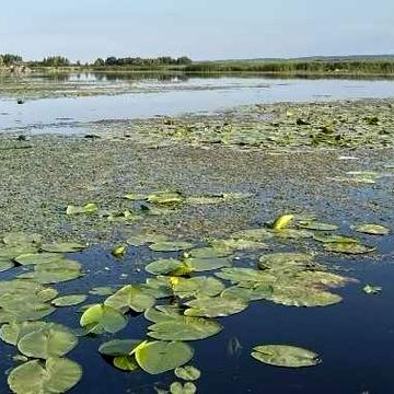 Будинок 180 кв.м., 24 сотки, під Києвом, с. Кийлів, затока Дніпра, ВЛАСНИК