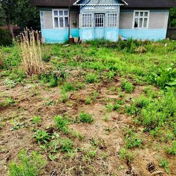 Продаж будинку в селі Деревня, Львівська область