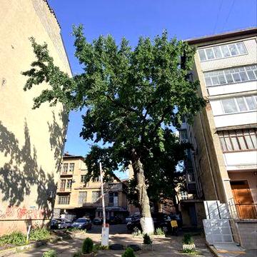 Продаж 2-х кімнатної квартири в центрі по вул.П.Орлика.Держпрограми.