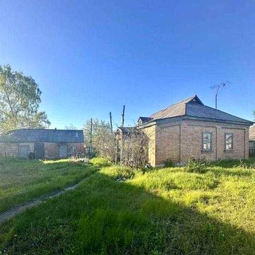 У продажу будинок біля соснового лісу