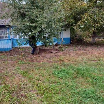 Будинок в селі Забілоччя