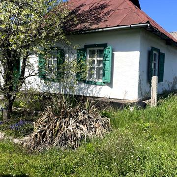 Продається невеликий будинок с Дубіївка,  20 км від  Черкас.