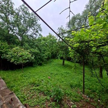 Продам дачу у товаристві терміново