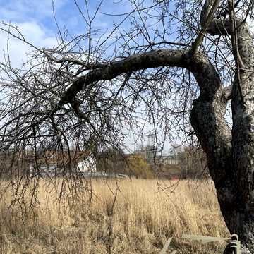 Чкалова, 101