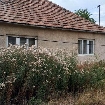 Продам дом Закарпатье Берегово