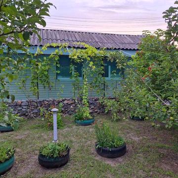 Терміново недорого продам свою дачу в лісі.