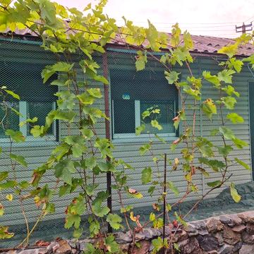 Терміново недорого продам свою дачу в лісі.