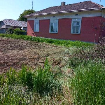 Продам будинок в селі Лосяч Тернопільська область Чортківський район.Будинок знаходиться в центрі села.Біля будинку є великий сад, приватизована земля